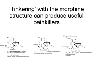‘Tinkering’ with the morphine structure can produce useful painkillers 