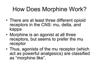How Does Morphine Work? There are at least three different opioid receptors in the CNS: mu, delta, and kappa Morphine is an agonist at all three receptors, but seems to prefer the mu receptor Thus, agonists of the mu receptor (which act as powerful analgesics) are classified as “morphine like”. 