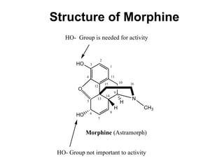 Structure of Morphine 