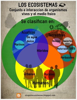 Ecosistema