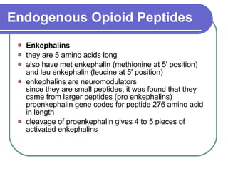 Endogenous Opioid Peptides Enkephalins   they are 5 amino acids long  also have met enkephalin (methionine at 5' position) and leu enkephalin (leucine at 5' position)  enkephalins are neuromodulators since they are small peptides, it was found that they came from larger peptides (pro enkephalins) proenkephalin gene codes for peptide 276 amino acid in length  cleavage of proenkephalin gives 4 to 5 pieces of activated enkephalins 
