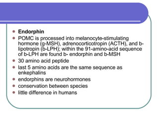 Endorphin   POMC is processed into melanocyte-stimulating hormone (g-MSH), adrenocorticotropin (ACTH), and b-lipotropin (b-LPH); within the 91-amino-acid sequence of b-LPH are found b- endorphin and b-MSH 30 amino acid peptide  last 5 amino acids are the same sequence as enkephalins  endorphins are neurohormones  conservation between species  little difference in humans  