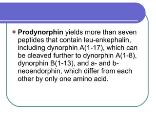 Prodynorphin  yields more than seven peptides that contain leu-enkephalin, including dynorphin A(1-17), which can be cleaved further to dynorphin A(1-8), dynorphin B(1-13), and a- and b-neoendorphin, which differ from each other by only one amino acid. 