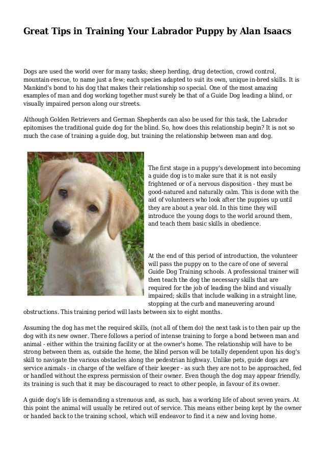 Great Tips in Training Your Labrador Puppy by Alan Isaacs