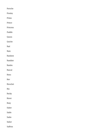 Porsche 
Presley 
Primo 
Prince 
Princess 
Puddle 
Queen 
Quiche 
Rad 
Rain 
Rainbow 
Rambler 
Rambo 
Rascal 
Reno 
Rev 
Ricochet 
Rio 
Rocky 
Rover 
Roxy 
Saber 
Sable 
Sadie 
Safari 
Saffron 
 