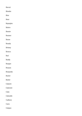 Biscuit 
Blondie 
Blue 
Boaz 
Bojangles 
Bolero 
Bonnie 
Boomer 
Boone 
Brandy 
Britney 
Bronco 
Bud 
Buddy 
Bungee 
Bunyan 
Burgundy 
Buster 
Butter 
Cabaret 
Cabernet 
Cabo 
Caboodle 
Cadbury 
Cairo 
Calypso 
 