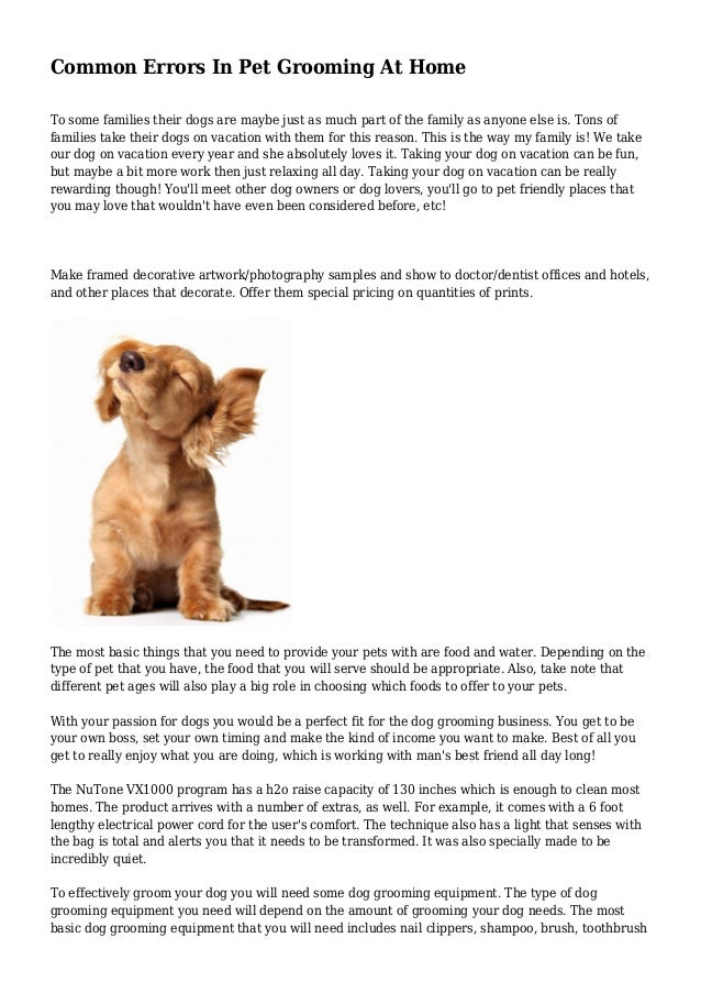 Common Errors In Pet Grooming At Home