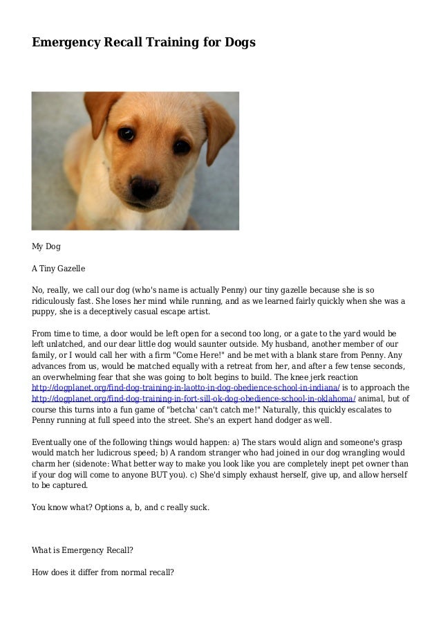 Emergency Recall Training for Dogs