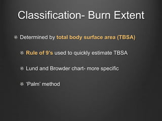 Tbsa Graph 141584757-Burns-Presentation.pptx