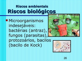 26
Riscos ambientaisRiscos ambientais
Riscos biológicosRiscos biológicos
 Microorganismos
indesejáveis:
bactérias (antraz),
fungos (parasitas),
protozoários, bacilos
(bacilo de Kock)
 