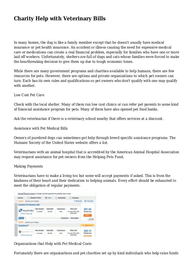 Charity Help with Veterinary Bills