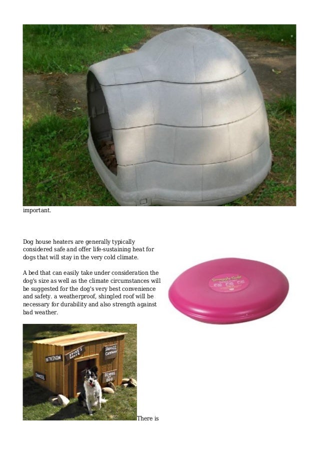 Dog House Tips for New Pet Owners