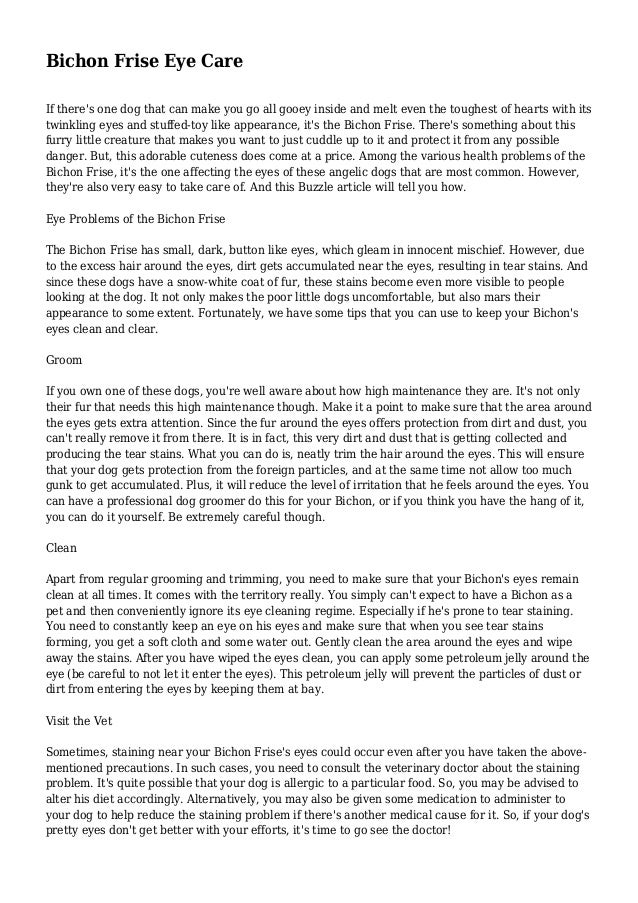 Bichon Frise Eye Care