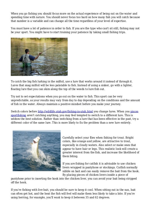 Idea To assist You An Expert Fisherman