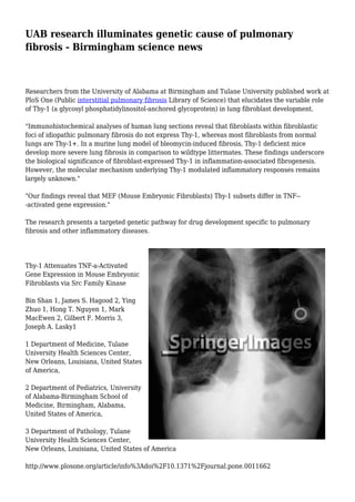 UAB research illuminates genetic cause of pulmonary 
fibrosis - Birmingham science news 
Researchers from the University of Alabama at Birmingham and Tulane University published work at 
PloS One (Public interstitial pulmonary fibrosis Library of Science) that elucidates the variable role 
of Thy-1 (a glycosyl phosphatidylinositol-anchored glycoprotein) in lung fibroblast development. 
"Immunohistochemical analyses of human lung sections reveal that fibroblasts within fibroblastic 
foci of idiopathic pulmonary fibrosis do not express Thy-1, whereas most fibroblasts from normal 
lungs are Thy-1+. In a murine lung model of bleomycin-induced fibrosis, Thy-1 deficient mice 
develop more severe lung fibrosis in comparison to wildtype littermates. These findings underscore 
the biological significance of fibroblast-expressed Thy-1 in inflammation-associated fibrogenesis. 
However, the molecular mechanism underlying Thy-1 modulated inflammatory responses remains 
largely unknown." 
"Our findings reveal that MEF (Mouse Embryonic Fibroblasts) Thy-1 subsets differ in TNF-- 
-activated gene expression." 
The research presents a targeted genetic pathway for drug development specific to pulmonary 
fibrosis and other inflammatory diseases. 
Thy-1 Attenuates TNF-a-Activated 
Gene Expression in Mouse Embryonic 
Fibroblasts via Src Family Kinase 
Bin Shan 1, James S. Hagood 2, Ying 
Zhuo 1, Hong T. Nguyen 1, Mark 
MacEwen 2, Gilbert F. Morris 3, 
Joseph A. Lasky1 
1 Department of Medicine, Tulane 
University Health Sciences Center, 
New Orleans, Louisiana, United States 
of America, 
2 Department of Pediatrics, University 
of Alabama-Birmingham School of 
Medicine, Birmingham, Alabama, 
United States of America, 
3 Department of Pathology, Tulane 
University Health Sciences Center, 
New Orleans, Louisiana, United States of America 
http://www.plosone.org/article/info%3Adoi%2F10.1371%2Fjournal.pone.0011662 
 