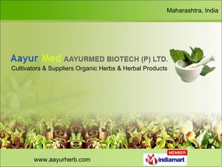 www.aayurherb.com Maharashtra, India Cultivators & Suppliers Organic Herbs & Herbal Products 