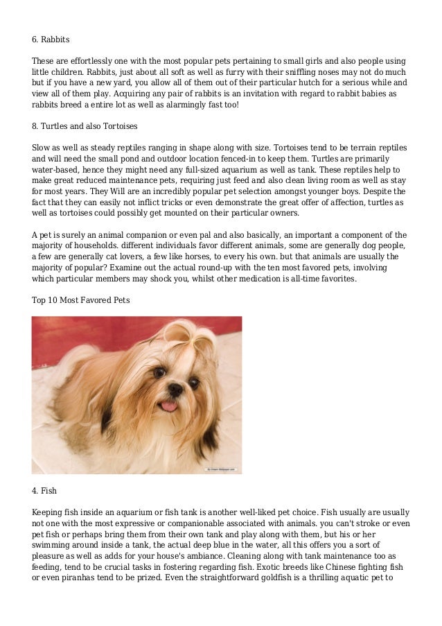 10 Most Popular Pets