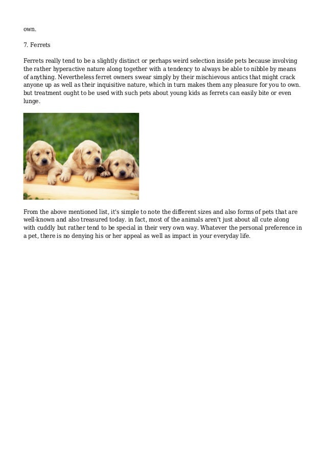 10 Most Popular Pets