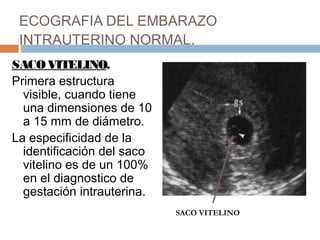 ECOGRAFIA DEL EMBARAZO
INTRAUTERINO NORMAL.
SACOVITELINO.
Primera estructura
visible, cuando tiene
una dimensiones de 10
a 15 mm de diámetro.
La especificidad de la
identificación del saco
vitelino es de un 100%
en el diagnostico de
gestación intrauterina.
SACO VITELINO
 