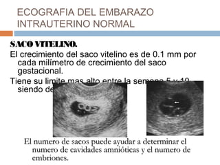 ECOGRAFIA DEL EMBARAZO
INTRAUTERINO NORMAL
SACOVITELINO.
El crecimiento del saco vitelino es de 0.1 mm por
cada milímetro de crecimiento del saco
gestacional.
Tiene su limite mas alto entre la semana 5 y 10
siendo de 5.6 mm.
El numero de sacos puede ayudar a determinar elEl numero de sacos puede ayudar a determinar el
numero de cavidades amnióticas y el numero denumero de cavidades amnióticas y el numero de
embriones.embriones.
 
