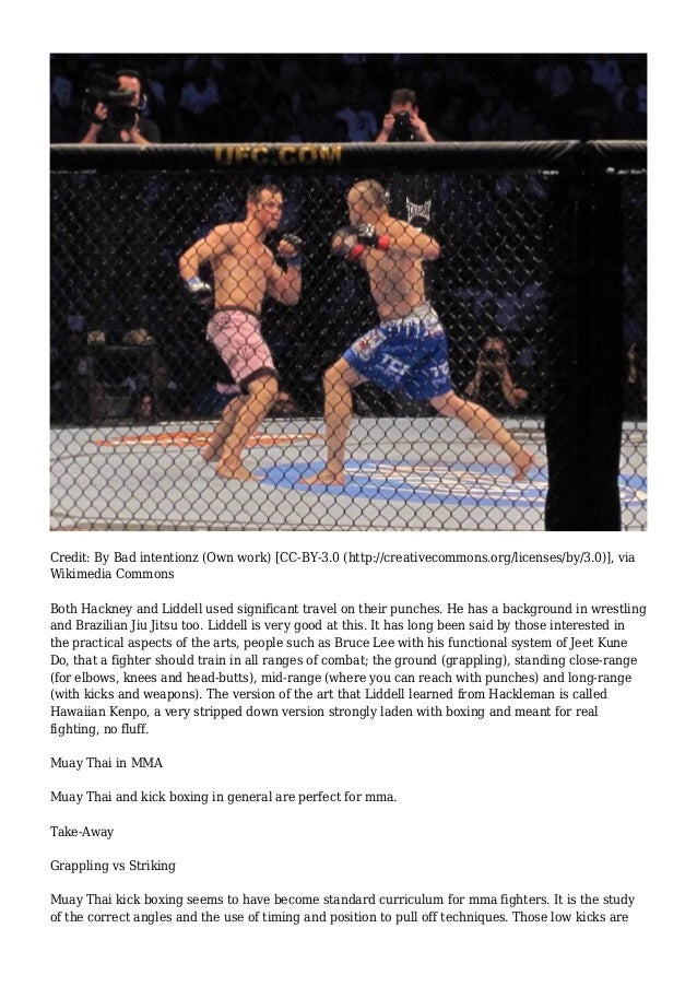 Best Striking Martial Arts for MMA