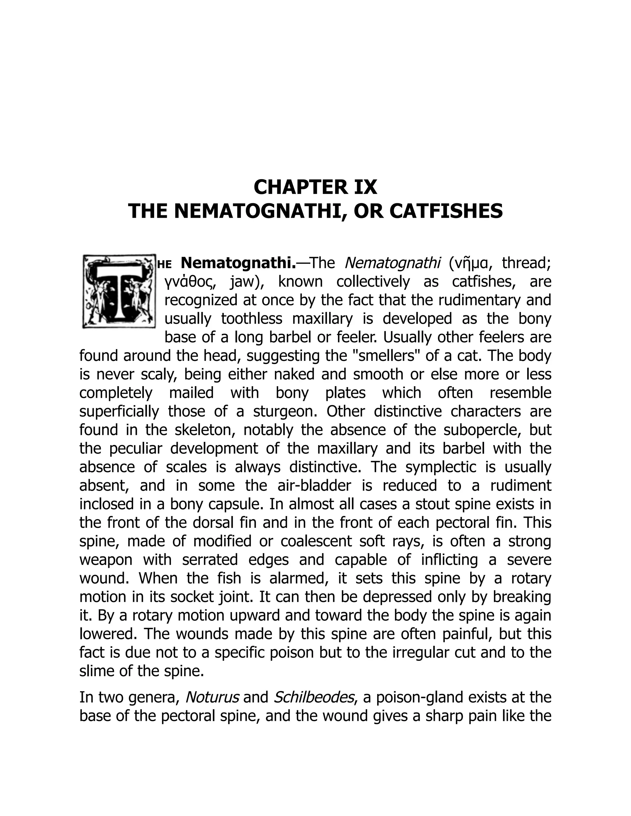 CHAPTER IX
THE NEMATOGNATHI, OR CATFISHES
he Nematognathi.—The Nematognathi (νῆμα, thread;
γνάθος, jaw), known collectively as catfishes, are
recognized at once by the fact that the rudimentary and
usually toothless maxillary is developed as the bony
base of a long barbel or feeler. Usually other feelers are
found around the head, suggesting the "smellers" of a cat. The body
is never scaly, being either naked and smooth or else more or less
completely mailed with bony plates which often resemble
superficially those of a sturgeon. Other distinctive characters are
found in the skeleton, notably the absence of the subopercle, but
the peculiar development of the maxillary and its barbel with the
absence of scales is always distinctive. The symplectic is usually
absent, and in some the air-bladder is reduced to a rudiment
inclosed in a bony capsule. In almost all cases a stout spine exists in
the front of the dorsal fin and in the front of each pectoral fin. This
spine, made of modified or coalescent soft rays, is often a strong
weapon with serrated edges and capable of inflicting a severe
wound. When the fish is alarmed, it sets this spine by a rotary
motion in its socket joint. It can then be depressed only by breaking
it. By a rotary motion upward and toward the body the spine is again
lowered. The wounds made by this spine are often painful, but this
fact is due not to a specific poison but to the irregular cut and to the
slime of the spine.
In two genera, Noturus and Schilbeodes, a poison-gland exists at the
base of the pectoral spine, and the wound gives a sharp pain like the
 