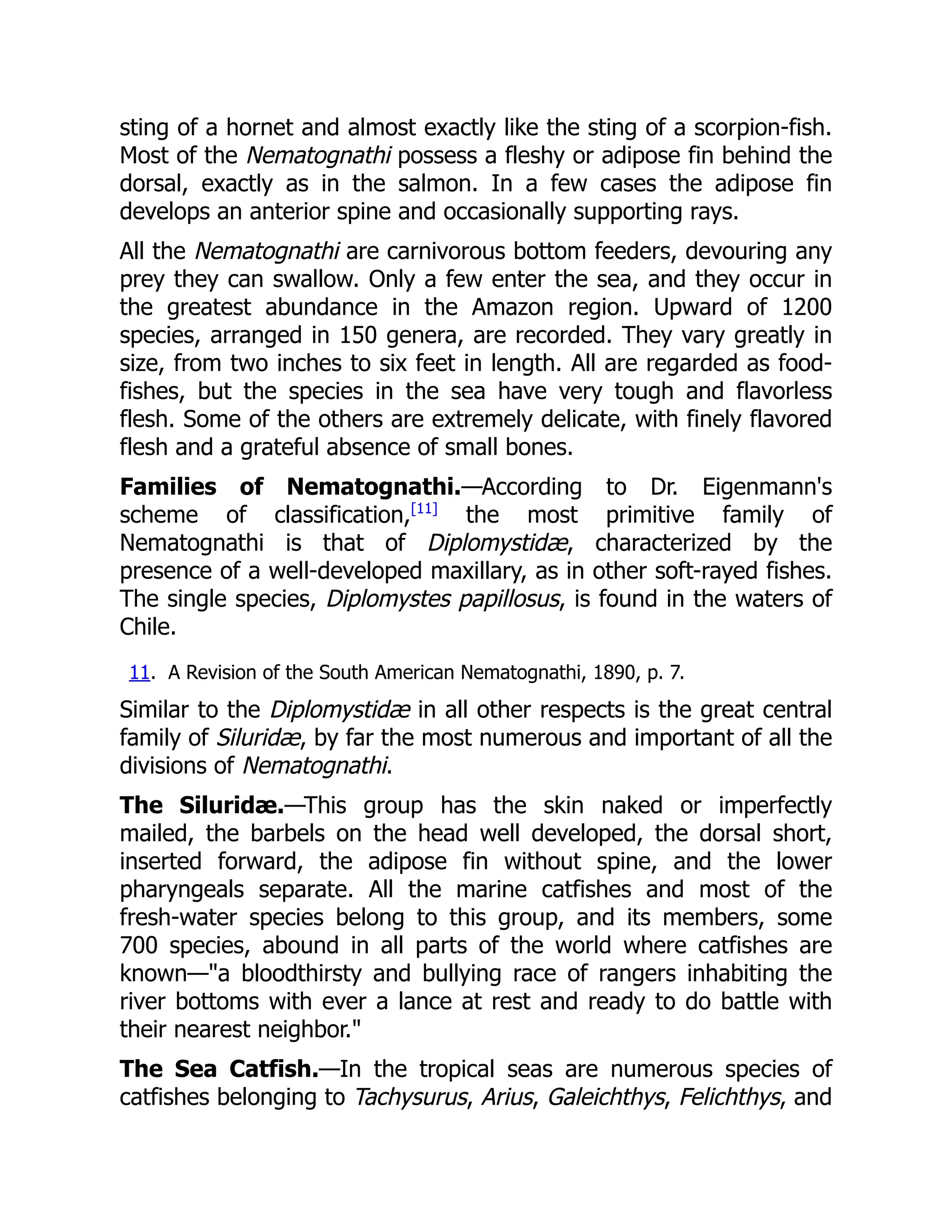 sting of a hornet and almost exactly like the sting of a scorpion-fish.
Most of the Nematognathi possess a fleshy or adipose fin behind the
dorsal, exactly as in the salmon. In a few cases the adipose fin
develops an anterior spine and occasionally supporting rays.
All the Nematognathi are carnivorous bottom feeders, devouring any
prey they can swallow. Only a few enter the sea, and they occur in
the greatest abundance in the Amazon region. Upward of 1200
species, arranged in 150 genera, are recorded. They vary greatly in
size, from two inches to six feet in length. All are regarded as food-
fishes, but the species in the sea have very tough and flavorless
flesh. Some of the others are extremely delicate, with finely flavored
flesh and a grateful absence of small bones.
Families of Nematognathi.—According to Dr. Eigenmann's
scheme of classification,[11]
the most primitive family of
Nematognathi is that of Diplomystidæ, characterized by the
presence of a well-developed maxillary, as in other soft-rayed fishes.
The single species, Diplomystes papillosus, is found in the waters of
Chile.
11. A Revision of the South American Nematognathi, 1890, p. 7.
Similar to the Diplomystidæ in all other respects is the great central
family of Siluridæ, by far the most numerous and important of all the
divisions of Nematognathi.
The Siluridæ.—This group has the skin naked or imperfectly
mailed, the barbels on the head well developed, the dorsal short,
inserted forward, the adipose fin without spine, and the lower
pharyngeals separate. All the marine catfishes and most of the
fresh-water species belong to this group, and its members, some
700 species, abound in all parts of the world where catfishes are
known—"a bloodthirsty and bullying race of rangers inhabiting the
river bottoms with ever a lance at rest and ready to do battle with
their nearest neighbor."
The Sea Catfish.—In the tropical seas are numerous species of
catfishes belonging to Tachysurus, Arius, Galeichthys, Felichthys, and
 
