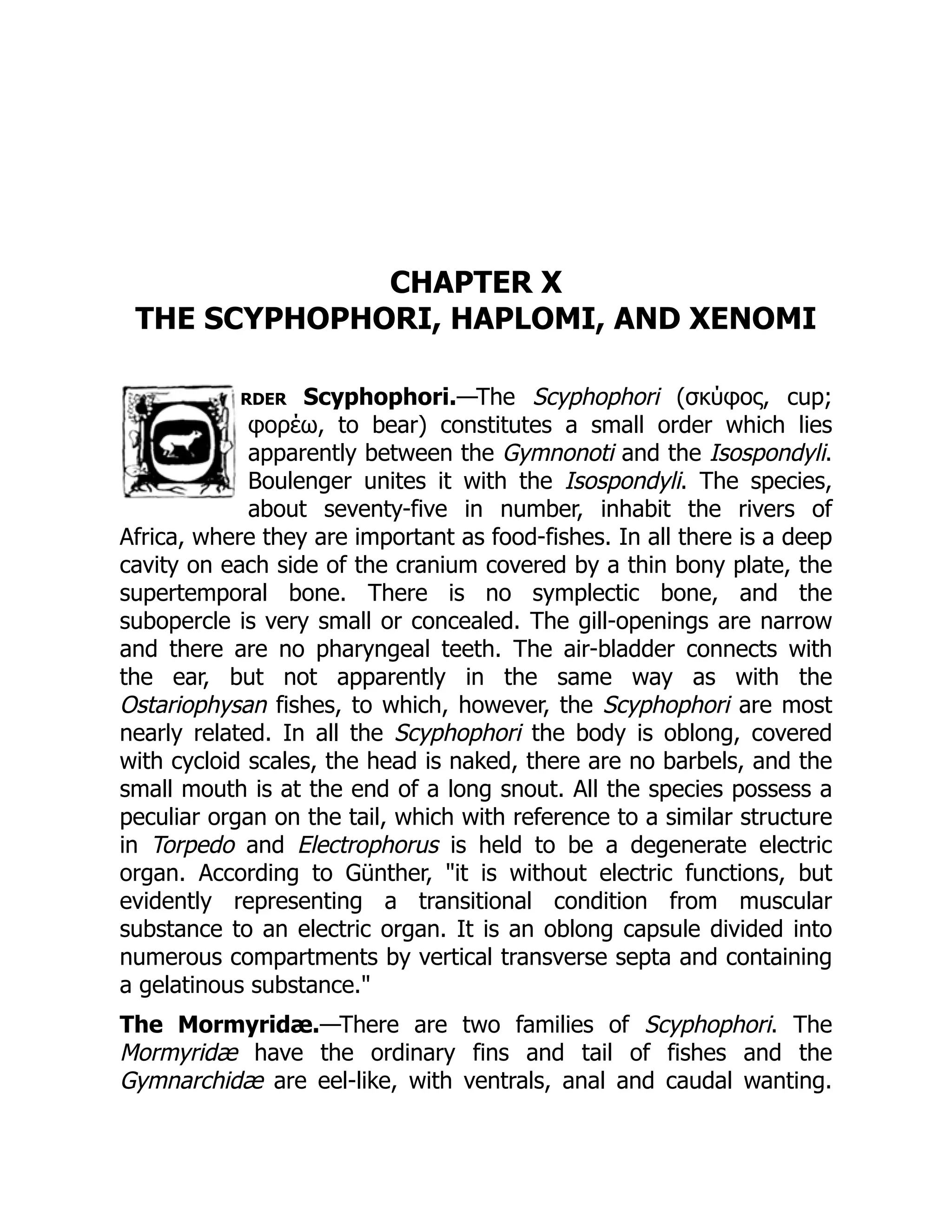 CHAPTER X
THE SCYPHOPHORI, HAPLOMI, AND XENOMI
rder Scyphophori.—The Scyphophori (σκύφος, cup;
φορέω, to bear) constitutes a small order which lies
apparently between the Gymnonoti and the Isospondyli.
Boulenger unites it with the Isospondyli. The species,
about seventy-five in number, inhabit the rivers of
Africa, where they are important as food-fishes. In all there is a deep
cavity on each side of the cranium covered by a thin bony plate, the
supertemporal bone. There is no symplectic bone, and the
subopercle is very small or concealed. The gill-openings are narrow
and there are no pharyngeal teeth. The air-bladder connects with
the ear, but not apparently in the same way as with the
Ostariophysan fishes, to which, however, the Scyphophori are most
nearly related. In all the Scyphophori the body is oblong, covered
with cycloid scales, the head is naked, there are no barbels, and the
small mouth is at the end of a long snout. All the species possess a
peculiar organ on the tail, which with reference to a similar structure
in Torpedo and Electrophorus is held to be a degenerate electric
organ. According to Günther, "it is without electric functions, but
evidently representing a transitional condition from muscular
substance to an electric organ. It is an oblong capsule divided into
numerous compartments by vertical transverse septa and containing
a gelatinous substance."
The Mormyridæ.—There are two families of Scyphophori. The
Mormyridæ have the ordinary fins and tail of fishes and the
Gymnarchidæ are eel-like, with ventrals, anal and caudal wanting.
 