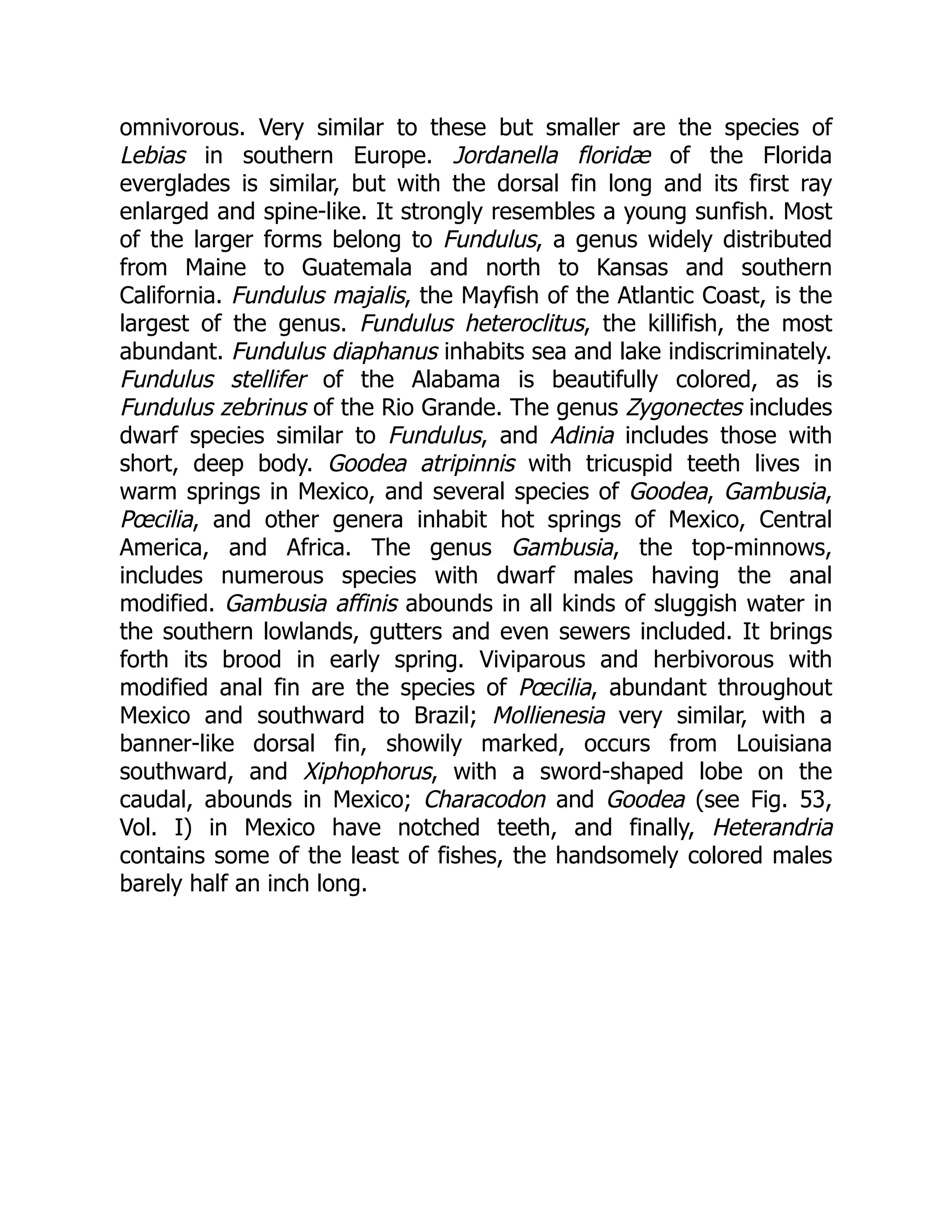omnivorous. Very similar to these but smaller are the species of
Lebias in southern Europe. Jordanella floridæ of the Florida
everglades is similar, but with the dorsal fin long and its first ray
enlarged and spine-like. It strongly resembles a young sunfish. Most
of the larger forms belong to Fundulus, a genus widely distributed
from Maine to Guatemala and north to Kansas and southern
California. Fundulus majalis, the Mayfish of the Atlantic Coast, is the
largest of the genus. Fundulus heteroclitus, the killifish, the most
abundant. Fundulus diaphanus inhabits sea and lake indiscriminately.
Fundulus stellifer of the Alabama is beautifully colored, as is
Fundulus zebrinus of the Rio Grande. The genus Zygonectes includes
dwarf species similar to Fundulus, and Adinia includes those with
short, deep body. Goodea atripinnis with tricuspid teeth lives in
warm springs in Mexico, and several species of Goodea, Gambusia,
Pœcilia, and other genera inhabit hot springs of Mexico, Central
America, and Africa. The genus Gambusia, the top-minnows,
includes numerous species with dwarf males having the anal
modified. Gambusia affinis abounds in all kinds of sluggish water in
the southern lowlands, gutters and even sewers included. It brings
forth its brood in early spring. Viviparous and herbivorous with
modified anal fin are the species of Pœcilia, abundant throughout
Mexico and southward to Brazil; Mollienesia very similar, with a
banner-like dorsal fin, showily marked, occurs from Louisiana
southward, and Xiphophorus, with a sword-shaped lobe on the
caudal, abounds in Mexico; Characodon and Goodea (see Fig. 53,
Vol. I) in Mexico have notched teeth, and finally, Heterandria
contains some of the least of fishes, the handsomely colored males
barely half an inch long.
 