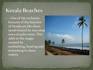  - One of the exclusive
 features of the beaches
 of Kerala are the clean
 sands bound by non-stop
 rows of palm trees. This
 adds to the magic
 created by
 sunbathing, boating and
 swimming in these
 waters.
 