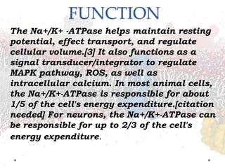 Sodium and Potassium pump ATPase | PPTX