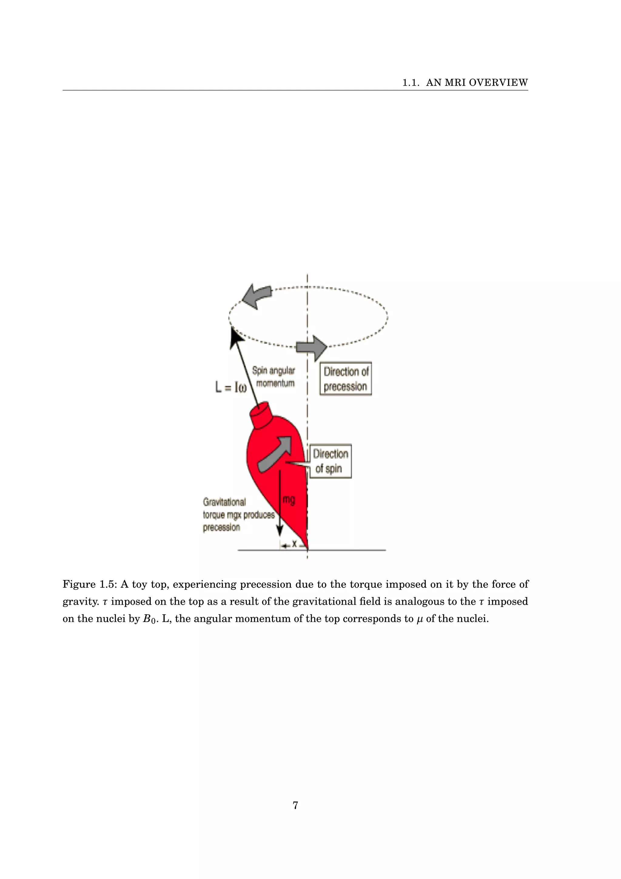 1.1. AN MRI OVERVIEW
Figure 1.5: A toy top, experiencing precession due to the torque imposed on it by the force of
gravity. τ imposed on the top as a result of the gravitational ﬁeld is analogous to the τ imposed
on the nuclei by B0. L, the angular momentum of the top corresponds to µ of the nuclei.
7
 