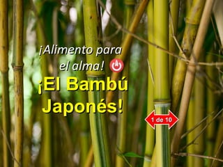 ¡¡El BambúEl Bambú
JaponésJaponés!!
¡¡Alimento paraAlimento para
el alma!el alma!
1 de 101 de 10
 