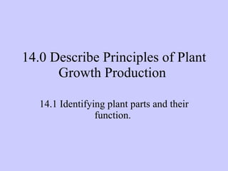 14.0 Describe Principles of Plant Growth Production  14.1 Identifying plant parts and their function.  