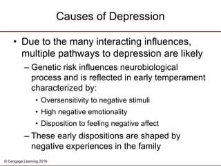 © Cengage Learning 2016
• Due to the many interacting influences,
multiple pathways to depression are likely
– Genetic ris...