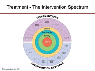 © Cengage Learning 2016
Treatment - The Intervention Spectrum
 