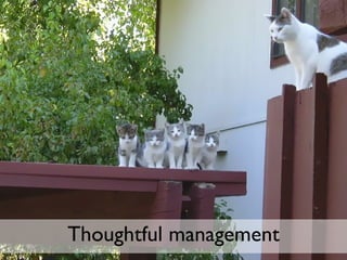 Thoughtful management 