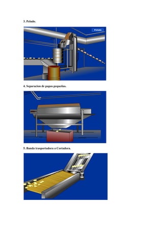 3. Pelado.
4. Separacion de papas pequeñas.
5. Banda trasportadora a Cortadora.
 