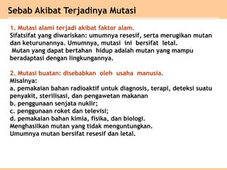 1. Mutasi alami terjadi akibat faktor alam.
Sifatsifat yang diwariskan: umumnya resesif, serta merugikan mutan
dan keturunannya. Umumnya, mutasi ini bersifat letal.
Mutan yang dapat bertahan hidup adalah mutan yang mampu
beradaptasi dengan lingkungannya.
2. Mutasi buatan: disebabkan oleh usaha manusia.
Misalnya:
a. pemakaian bahan radioaktif untuk diagnosis, terapi, deteksi suatu
penyakit, sterilisasi, dan pengawetan makanan
b. penggunaan senjata nuklir;
c. penggunaan roket dan televisi;
d. pemakaian bahan kimia, fisika, dan biologi.
Menghasilkan mutan yang tidak menguntungkan.
Umumnya mutan bersifat resesif dan letal.
Sebab Akibat Terjadinya Mutasi
 