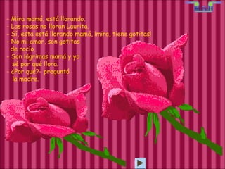 - Mira mamá, está llorando. - Las rosas no lloran Laurita. - Sí, esta está llorando mamá, ¡mira, tiene gotitas!  - No mi amor, son gotitas de rocío.  - Son lágrimas mamá y yo  sé por qué llora. - ¿Por qué?- preguntó  la madre. 