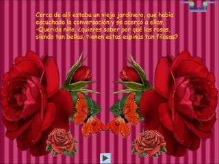 Cerca de allí estaba un viejo jardinero, que había escuchado la conversación y se acercó a ellas. Querida niña, ¿quieres saber por qué las rosas,  siendo tan bellas, tienen estas espinas tan filosas? 