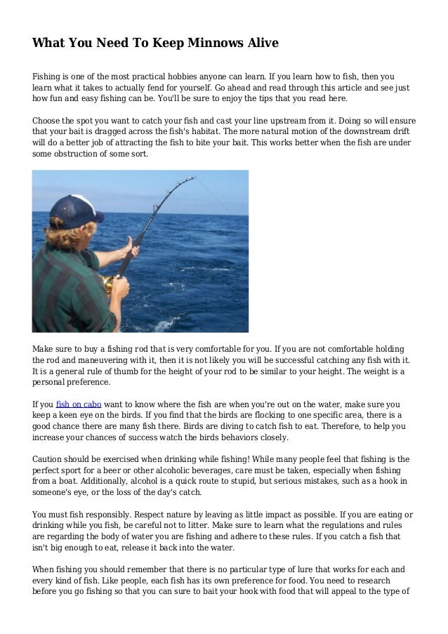 What You Need To Keep Minnows Alive