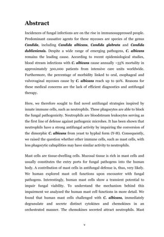 v
Abstract
Incidences of fungal infections are on the rise in immunosuppressed people.
Predominant causative agents for these mycoses are species of the genus
Candida, including Candida albicans, Candida glabrata and Candida
dublieniensis. Despite a wide range of emerging pathogens, C. albicans
remains the leading cause. According to recent epidemiological studies,
blood stream infections with C. albicans cause annually ~55% mortality in
approximately 300,000 patients from intensive care units worldwide.
Furthermore, the percentage of morbidity linked to oral, esophageal and
vulvovaginal mycoses cause by C. albicans reach up to 90%. Reasons for
these medical concerns are the lack of efficient diagnostics and antifungal
therapy.
Here, we therefore sought to find novel antifungal strategies inspired by
innate immune cells, such as neutrophils. These phagocytes are able to block
the fungal pathogenicity. Neutrophils are bloodstream leukocytes serving as
the first line of defense against pathogenic microbes. It has been shown that
neutrophils have a strong antifungal activity by impairing the conversion of
the dimorphic C. albicans from yeast to hyphal form (Y-H). Consequently,
we raised the question whether other immune cells, such as mast cells, with
less phagocytic cabapilities may have similar activity to neutrophils.
Mast cells are tissue-dwelling cells. Mucosal tissue is rich in mast cells and
usually constitutes the entry ports for fungal pathogens into the human
body. A contribution of mast cells in antifungal defense is, thus, very likely.
We human explored mast cell functions upon encounter with fungal
pathogens. Interestingly, human mast cells show a transient potential to
impair fungal viability. To understand the mechanism behind this
impairment we analyzed the human mast cell functions in more detail. We
found that human mast cells challenged with C. albicans, immediately
degranulate and secrete distinct cytokines and chemokines in an
orchestrated manner. The chemokines secreted attract neutrophils. Mast
 