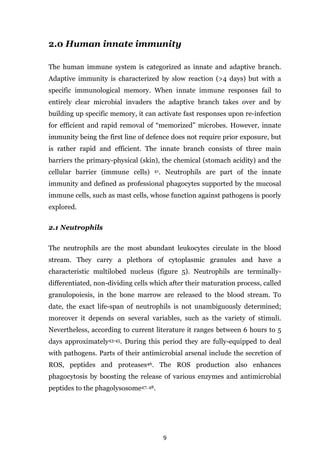 9
2.0 Human innate immunity
The human immune system is categorized as innate and adaptive branch.
Adaptive immunity is characterized by slow reaction (>4 days) but with a
specific immunological memory. When innate immune responses fail to
entirely clear microbial invaders the adaptive branch takes over and by
building up specific memory, it can activate fast responses upon re-infection
for efficient and rapid removal of “memorized” microbes. However, innate
immunity being the first line of defence does not require prior exposure, but
is rather rapid and efficient. The innate branch consists of three main
barriers the primary-physical (skin), the chemical (stomach acidity) and the
cellular barrier (immune cells) 41. Neutrophils are part of the innate
immunity and defined as professional phagocytes supported by the mucosal
immune cells, such as mast cells, whose function against pathogens is poorly
explored.
2.1 Neutrophils
The neutrophils are the most abundant leukocytes circulate in the blood
stream. They carry a plethora of cytoplasmic granules and have a
characteristic multilobed nucleus (figure 5). Neutrophils are terminally-
differentiated, non-dividing cells which after their maturation process, called
granulopoiesis, in the bone marrow are released to the blood stream. To
date, the exact life-span of neutrophils is not unambiguously determined;
moreover it depends on several variables, such as the variety of stimuli.
Nevertheless, according to current literature it ranges between 6 hours to 5
days approximately43-45. During this period they are fully-equipped to deal
with pathogens. Parts of their antimicrobial arsenal include the secretion of
ROS, peptides and proteases46. The ROS production also enhances
phagocytosis by boosting the release of various enzymes and antimicrobial
peptides to the phagolysosome47; 48.
 