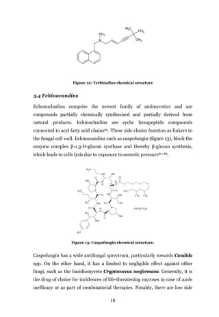 18
Figure 12: Terbinafine chemical structure
3.4 Echinocandins
Echonochadins comprise the newest family of antimycotics and are
compounds partially chemically synthesized and partially derived from
natural products. Echinochadins are cyclic hexapeptide compounds
connected to acyl fatty acid chains86. These side chains function as linkers to
the fungal cell wall. Echinocandins such as caspofungin (figure 13), block the
enzyme complex β-1.3-D-glucan synthase and thereby β-glucan synthesis,
which leads to cells lysis due to exposure to osmotic pressure87; 88.
Figure 13: Caspofungin chemical structure.
Caspofungin has a wide antifungal sprectrum, particularly towards Candida
spp. On the other hand, it has a limited to negligible effect against other
fungi, such as the basidiomycete Cryptococcus neoformans. Generally, it is
the drug of choice for incidences of life-threatening mycoses in case of azole
inefficacy or as part of combinatorial therapies. Notably, there are low side
 