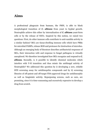 26
Aims
A professional phagocyte from humans, the PMN, is able to block
morphological transition of C. albicans from yeast to hyphal growth.
Neutrophils achieve this either by internalization of C. albicans yeast-form
cells or by the release of NETs. Inspired by this notion, we raised two
questions: First, do other immune cells contribute to anti-candida activity in
a similar fashion? MCs are tissue-dwelling immune cells which have PRRs
for microbial PAMPs, release ROS and proteases for destruction of microbes.
Although an emerging body of literature describes antibacterial responses of
MCs, their interaction with and response to fungal pathogens is virtually
unexplored. We therefore investigated how MCs recognize and respond to C.
albicans. Secondly, is it possible to identify chemical molecules which
interfere with Y-H transition and thus mimic the antifungal activity of
Neutrophils? We addressed this question by i) developing a new, reliable
HTS screening assay for antidimoprhic compounds and by ii) screening
libraries of off-patent and off-target FDA-approved drugs for antidimorphic
as well as fungistatic activity. Repurposing screens, such as ours, are
promising, since it is time-consuming and excessively expensive to develop a
drug from scratch.
 