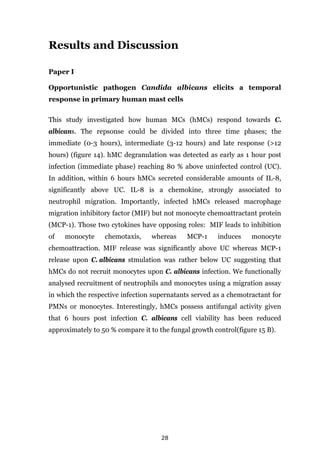 28
Results and Discussion
Paper I
Opportunistic pathogen Candida albicans elicits a temporal
response in primary human mast cells
This study investigated how human MCs (hMCs) respond towards C.
albicans. The repsonse could be divided into three time phases; the
immediate (0-3 hours), intermediate (3-12 hours) and late response (>12
hours) (figure 14). hMC degranulation was detected as early as 1 hour post
infection (immediate phase) reaching 80 % above uninfected control (UC).
In addition, within 6 hours hMCs secreted considerable amounts of IL-8,
significantly above UC. IL-8 is a chemokine, strongly associated to
neutrophil migration. Importantly, infected hMCs released macrophage
migration inhibitory factor (MIF) but not monocyte chemoattractant protein
(MCP-1). Those two cytokines have opposing roles: MIF leads to inhibition
of monocyte chemotaxis, whereas MCP-1 induces monocyte
chemoattraction. MIF release was significantly above UC whereas MCP-1
release upon C. albicans stmulation was rather below UC suggesting that
hMCs do not recruit monocytes upon C. albicans infection. We functionally
analysed recruitment of neutrophils and monocytes using a migration assay
in which the respective infection supernatants served as a chemotractant for
PMNs or monocytes. Interestingly, hMCs possess antifungal activity given
that 6 hours post infection C. albicans cell viability has been reduced
approximately to 50 % compare it to the fungal growth control(figure 15 B).
 
