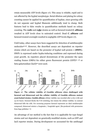 33
retain measurable ATP levels (figure 17). This assay is reliable, rapid and is
not affected by the hyphal morphotype. Serial dilution and plating for colony
counting cannot be applied for quantification of hyphae, since growing cells
do not separate and hyphal filaments additionally tend to clump. Both
features lead to false results in quantification methods based on colony
counting. The ∆edt1 and ∆efg1 strains as well as farnesol-treated C. albicans
resulted in ATP levels close to untreated control. Dead C. albicans and
farnesol-treated overnight resulted in negligible ATP levels (figure 17).
Until today, other assays have been suggested for detection of antidimorphic
molecules96-98. However, the described assays are dependent on reporter
strains which are based on the promoter of hyphal wall protein 1 (HWP1).
HWP1 is expressed under hypha-inducing conditions and repressed during
yeast growth. As reporters placed downstream of the promoter the open
reading frames (ORFs) for either green fluorescent protein (GFP)97; 98 or
beta-galactosidase (lacZ)96 were used.
Figure 17: The cellular viability of Candida albicans when challenged with
farnesol and thimerosal and the cellular viability of Candida albicans mutant
yeast-locked strains. Candida albicans cellular viability was recorded after 3 (A), 6 (B) and
24 (C) hours. Farnesol blocks the Y-H switching, but retains the cellular viability: in contrast
thimerosal kills the cells. For screening purposes farnesol represents an ideal antidimorphic
compound, thimerosal mimics a fungistatic / fungicidal agent. [Re-produced with permission
from Sage publisher 113]
An advantage of our method is the fact that it is applicable for type fungal
strains and not dependent on genetically-modified strains, such as GFP and
lacZ reporter strains. During development we accounted for the antifungal
 