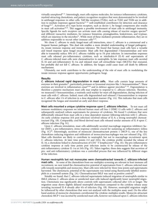 www.nature.com/scientificreports/
2Scientific Reports | 5:12287 | DOI: 10.1038/srep12287
virtually unexplored9–12
. Interestingly, mast cells express molecules, for instance inflammatory cytokines,
myeloid-attracting chemokines, and pattern recognition receptors that were demonstrated to be involved
in antifungal responses in other cells. Toll like receptors (TLRs), such as TLR2 and TLR4 are in addi-
tion to mediate responses against bacteria13–15
well-established contributors for detection and clearance
of fungi16,17
. Activation of C-type lectin receptors, such as dectin 1, by fungal components also results
in mast cell activation18,19
. This suggests a possible involvement of mast cells in antifungal immunity.
Specific ligands for such receptors can activate mast cells causing release of reactive oxygen species20
and different vasoactive mediators, for instance histamine, prostaglandins, leukotrienes, and tryptase,
which are injurious to the microbes21
. While most of these mediators promote inflammation, they are in
addition responsible to recruit other immune cells22,23
.
We chose C. albicans to study fungal-mast cell interactions, since C. albicans is a commensal and a
frequent human pathogen. This dual role enables a more detailed understanding of fungal pathogenic-
ity, innate immune response and immune tolerance. We found that human mast cells have a versatile
and timed response upon fungal encounter. Mast cells first degranulated β -hexosaminidase and were
able to transiently reduce 30% of C. albicans viability up to 3 h post infection. In intermediate responses
mast cells released pro-inflammatory cytokines, such as interleukin-8 (IL-8) and supernatants of
C. albicans-infected mast cells were chemoattractive to neutrophils. In late responses mast cells secreted
IL-16 and anti-inflammatory IL-1ra and released mast cell extracellular traps (MCETs) that ensnared,
but probably did not kill C. albicans. In addition, the fungus could cause mast cell death by different
mechanisms.
Ultimately, our work contributes to the understanding of the role of mast cells in modulating the
innate immune response against opportunistic pathogenic fungi.
Results
C. albicans induced rapid degranulation in mast cells.  Mast cells contain large amounts of
enzymes in their granules21
, particularly proteases or lysosomal enzymes like β –hexosaminidase24
. These
enzymes are involved in inflammation onset25,26
and in defence against microbes27–29
. Degranulation is
therefore a putative mechanism mast cells may employ to respond to C. albicans infection. Therefore,
we measured β -hexosaminidase, a routinely used marker for mast cell degranulation, during infection of
mast cells with C. albicans. Indeed, mast cells degranulated and released β -hexosaminidase in response
to C. albicans after 1 h of infection in a dose-dependent manner (Fig. 1A). This indicates that mast cells
recognized the fungus and mounted an early and direct response.
Mast cells mounted a unique cytokine response upon C. albicans infection.  To test mast cell
immune modulatory responses we infected human mast cell line-1 (HMC-1) cells with C. albicans and
subsequently analysed culture supernatants for presence of cytokines. We found 5 cytokines that were
differentially released from mast cells in a time-dependent manner following infection with C. albicans.
An early cytokine response (6 h post infection) involved release of IL-8, a strong neutrophil chemoat-
tractant (Fig. 1B). Comparably, cord blood-derived mast cells released similar amounts of IL-8 upon C.
albicans infection (Fig. S1).
Upon C. albicans stimulation, mast cells additionally secreted macrophage migration inhibitory fac-
tor (MIF), a pro-inflammatory, stress-response cytokine crucial for sustaining an inflammatory milieu
(Fig.  1C)30
. Interestingly, secretion of monocyte chemoattractant protein 1 (MCP-1), one of the key
chemokines inducing migration and infiltration of monocytes/macrophages was not released (Fig. 1D).
Mast cells therefore are likely to contribute to neutrophil, but not to macrophage recruitment upon
C. albicans infection. At later time points (12 and 24 h), the cytokine profile revealed the release of
IL-16, a chemokine linked to chemoattraction of CD4+
T lymphocytes31
(Fig. 1E). The pro-inflammatory
cytokine response at early time points post infection seems to be counteracted by release of the
anti-inflammatory cytokine IL-1ra at 24 h (Fig. 1F). Taken together, these data suggests that secretion of
pro- and anti-inflammatory cytokines was a controlled process that was influenced by different stages
of the infection.
Human neutrophils but not monocytes were chemoattracted towards C. albicans-infected
mast cells.  As some of the chemokines from our multiplex screening are relevant in host immune cell
recruitment, we next tested the chemoattractive potential of supernatants from C. albicans-infected mast
cells towards neutrophils and monocytes. Mast cells were infected for three time points and supernatants
harvested. The chemotactic potential of the supernatants was tested using fluorescently labelled neutro-
phils in a transwell system (Fig. 2A). Chemoattractant fMLF was used as positive control32
.
Notably we found, that C. albicans-infected supernatants induced migration of neutrophils similar to
fMLF, whereas C. albicans alone or uninfected mast cells induced significantly lower neutrophil migra-
tion. Chemotaxis was significantly above controls with supernatants collected after 12 h or longer. The
migration assay shows slightly delayed neutrophil chemotaxis compared to the cytokine release assay
revealing increased IL-8 already after 6 h of infection (Fig. 1B). However, neutrophil migration might
be influenced by other chemokines that were not analysed with the multiplex assay used. On the other
hand analysis of monocyte chemotaxis corroborated the cytokine multiplex results. Monocyte-attractant
chemokine MCP-1 was secreted by uninfected mast cells, however not induced upon C. albicans infection
 