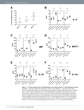 www.nature.com/scientificreports/
3Scientific Reports | 5:12287 | DOI: 10.1038/srep12287
Figure 1.  C. albicans induced mast cell degranulation and cytokine release in a MOI-dependent manner.
(A) HMC-1 cells were infected with opsonized C. albicans yeasts (MOI 0.1, 1 and 10) for 1 hour, after
which ß-hexosaminidase release was measured from supernatants of infection. (B–F) Shown are 5 cytokines
at 6, 12 and 24 h post infection that were released differentially from different supernatants of mast cells
infected with C. albicans (MOI 0.1 and 1) or of mast cells left uninfected. ß–hexosaminidase percentage
release was defined by the amount of ß-hexosaminidase release from infected cell divided by spontaneous
ß-hexosaminidase release from uninfected cells (% of ß –hexosaminidase release/% of ß –hexosaminidase
control). Significance for (A–F) was analysed by Tukey one-way ANOVA *P ≤  0.05. Data are presented as
means of n =  4 (4) ±  SD (ß-hexosaminidase release assay) and n =  3 (3) ±  SD (Cytokine Multiplex).
 